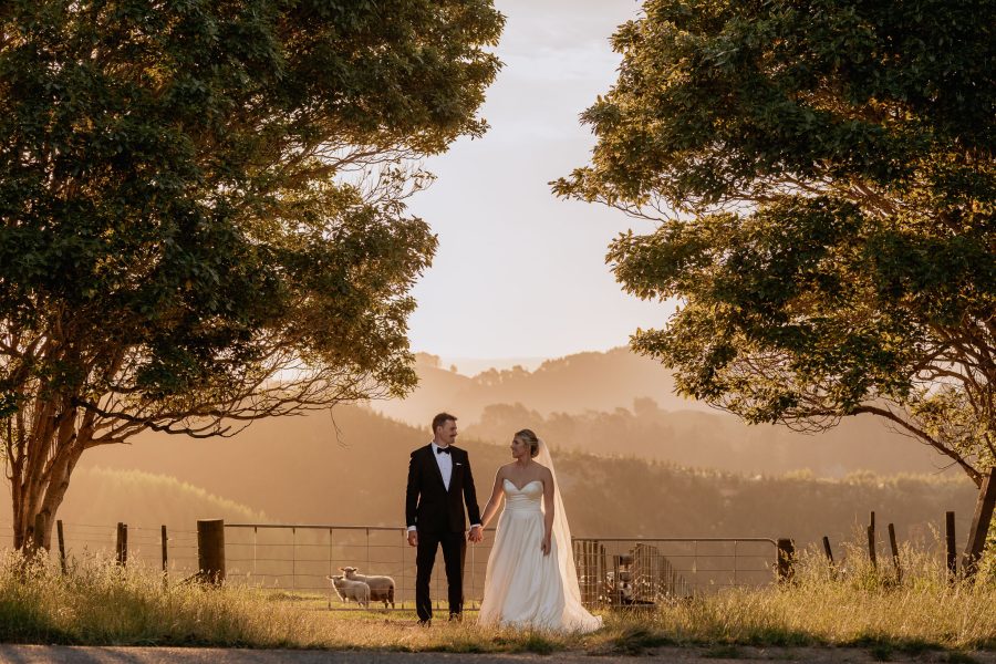 New Zealand Elopement image of bride and groom with sheep