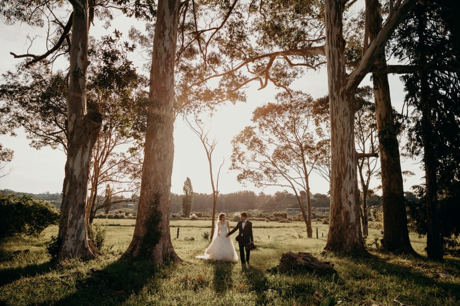 Bethlehem wedding photos on farm