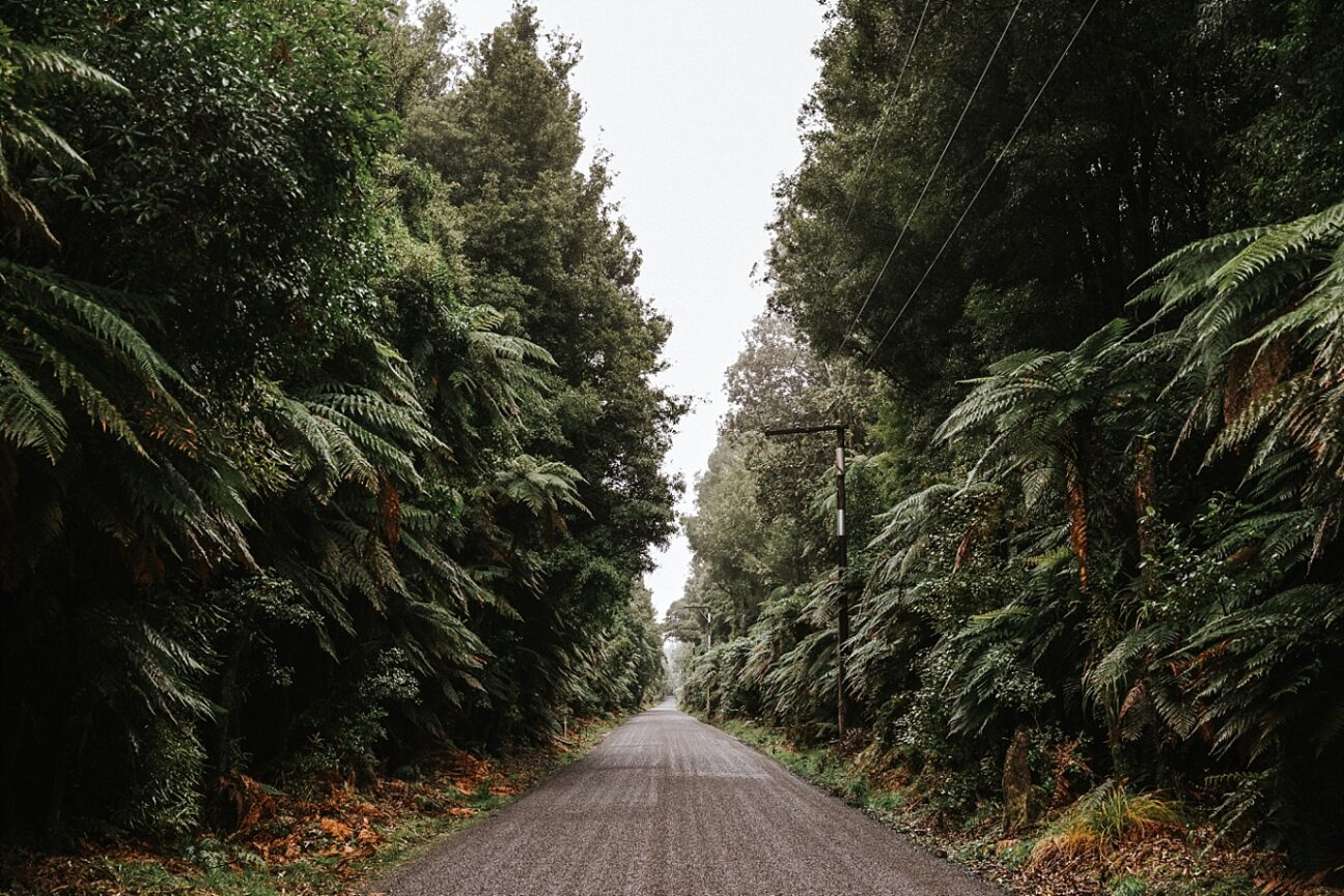 Lake Okataina Road