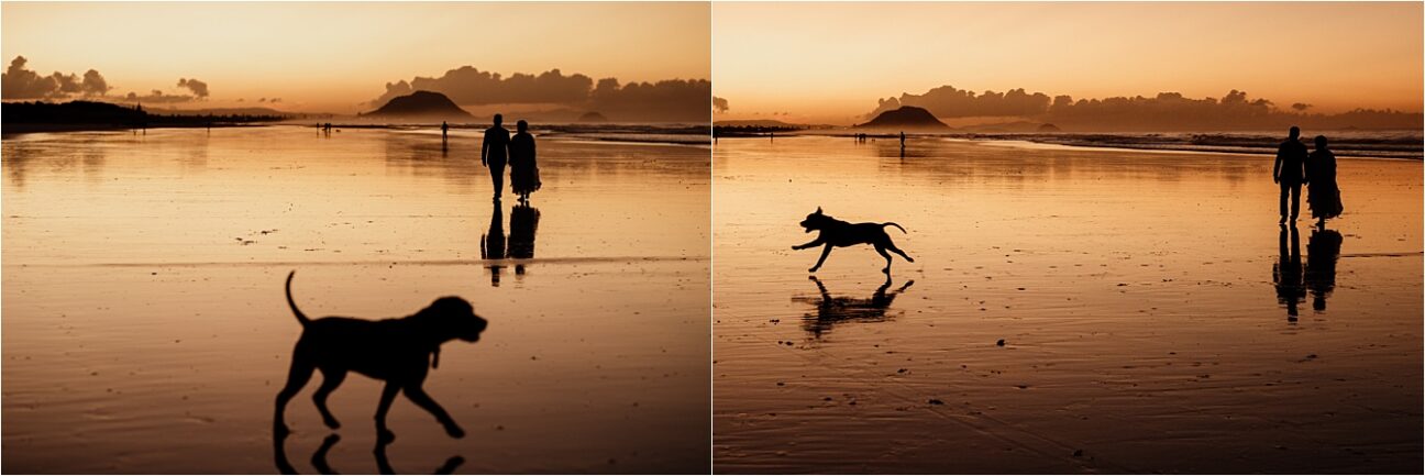 Photo bombing dog on wedding day at Papamoa Beach