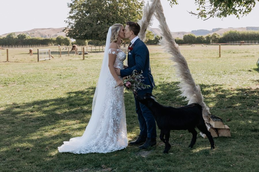 First kiss with goat eating flowers