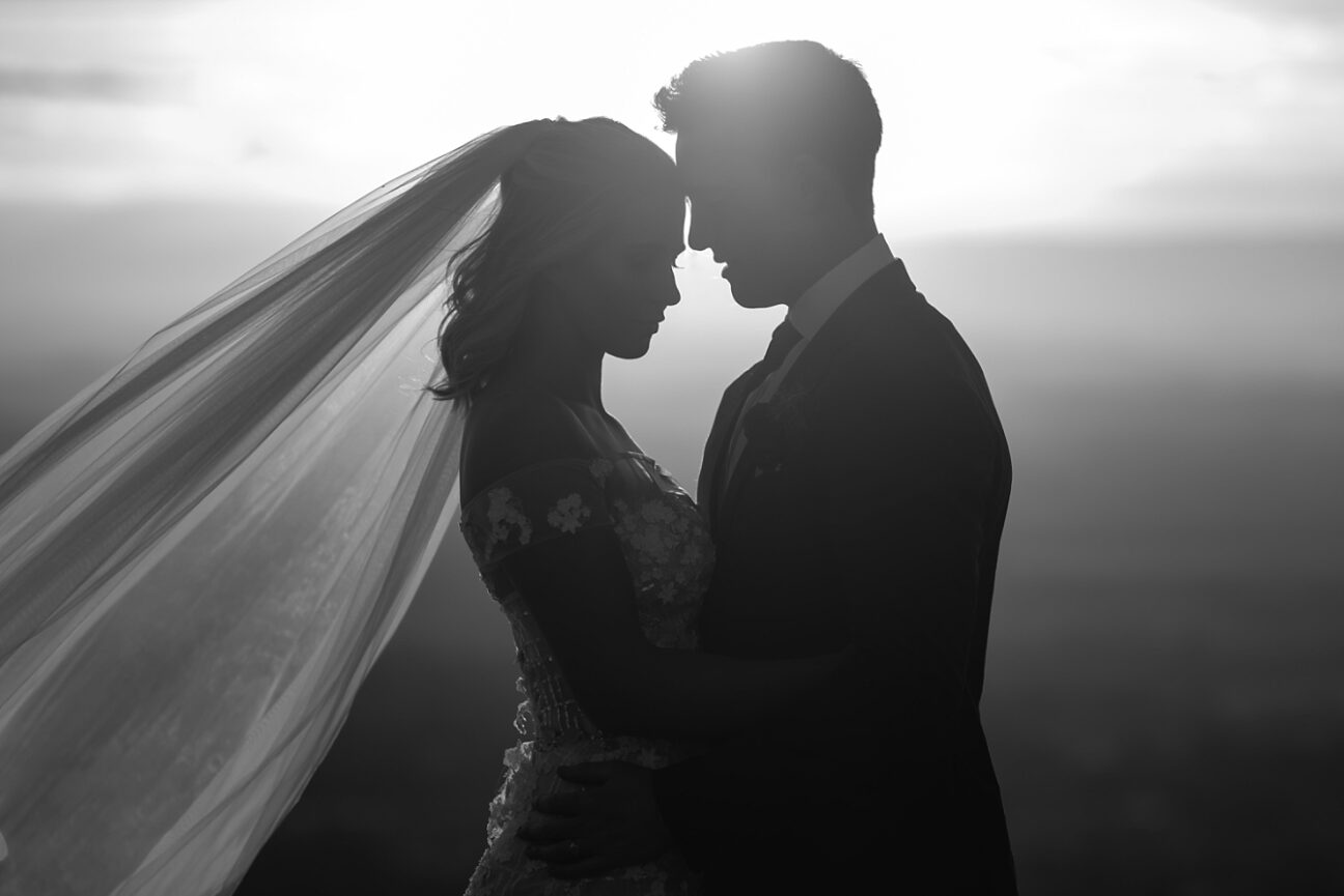 Black and white silhouette bridal portrait