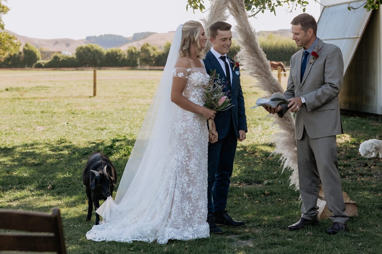 Elopement ceremony in progress goat eats dress
