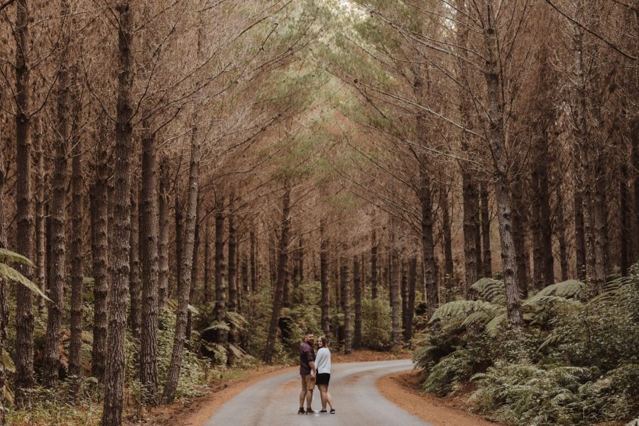 Engagment photos taken in Rotorua forest