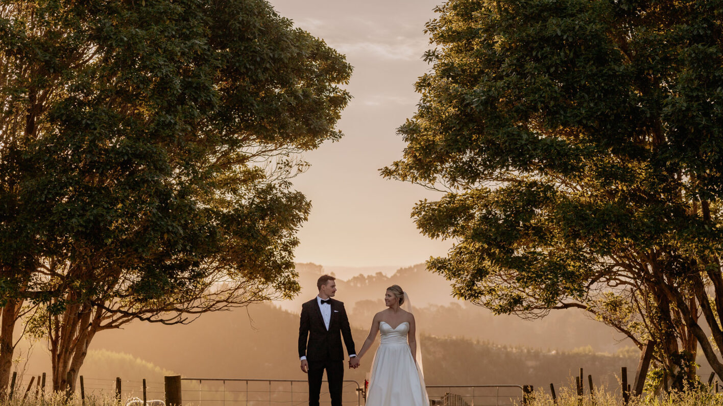 County scene of Elopement with New Zealand Sheep