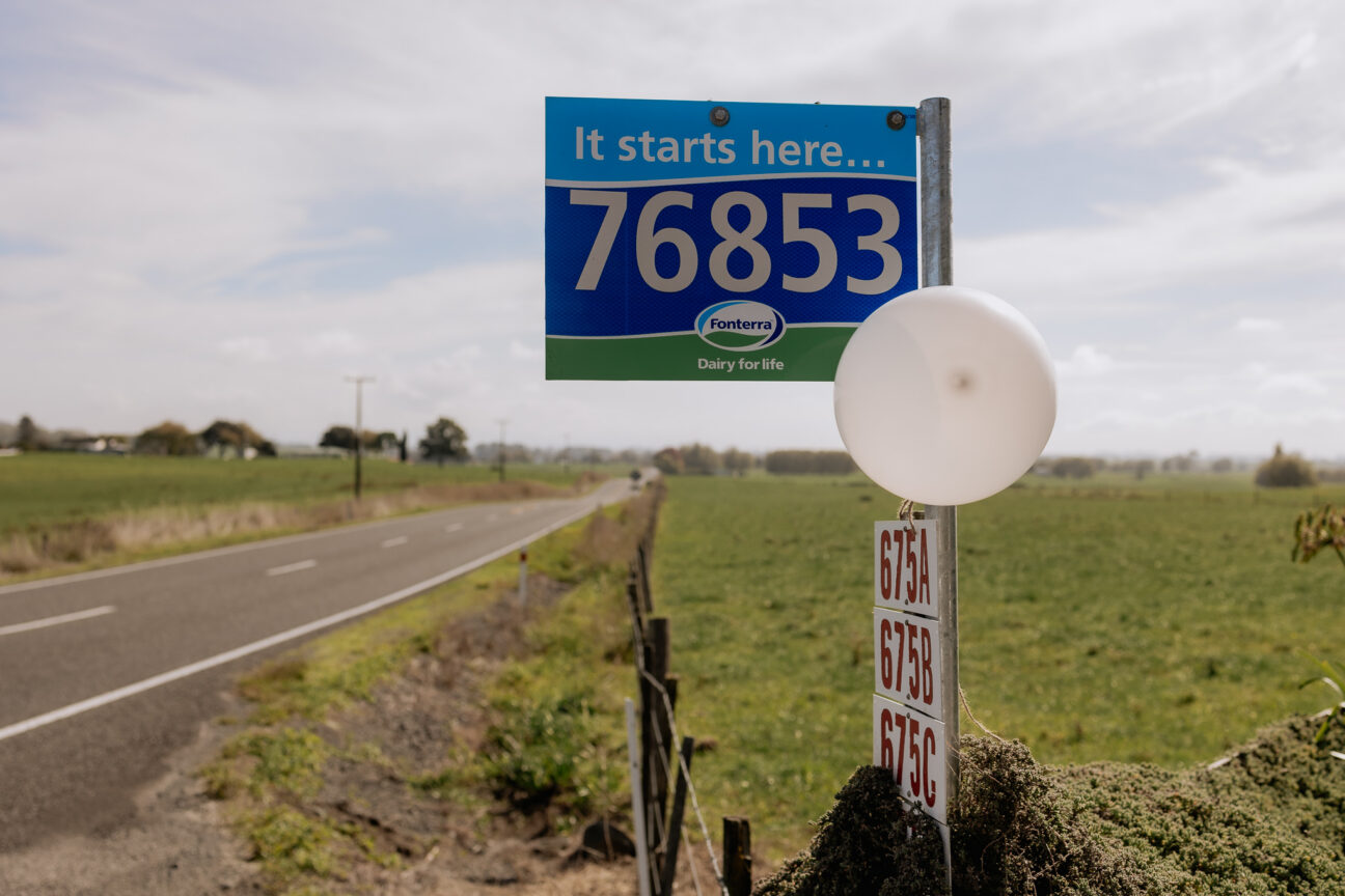 Waikato country road farmers rapid numbers balloon entrance to wedding