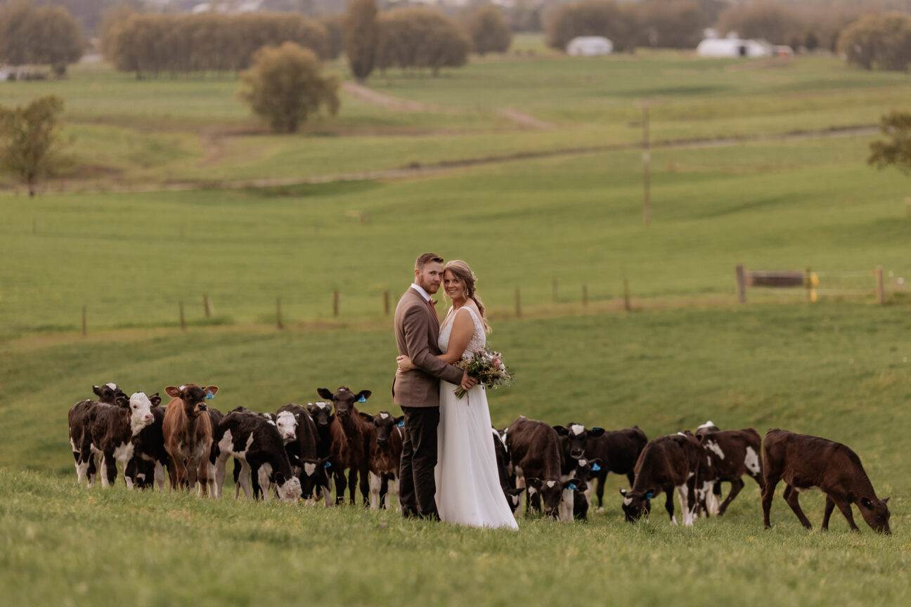 Farm couple with calves behind them smiling at camera