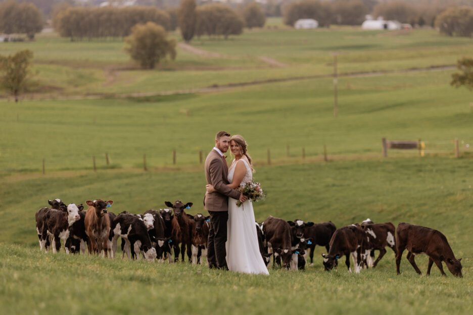 Farm couple with calves behind them smiling at camera