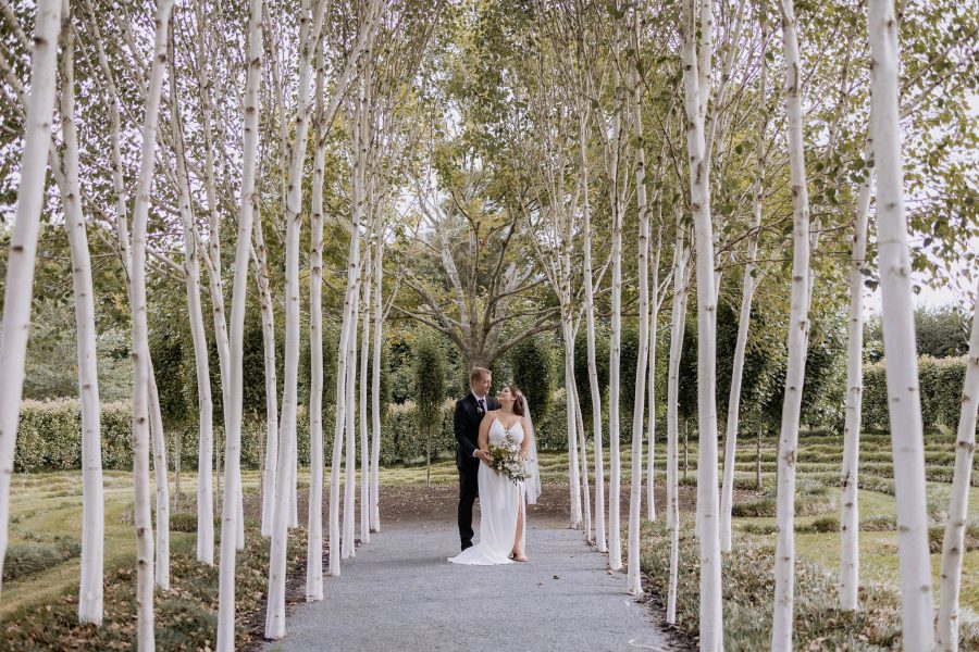 Bride and groom Ohaupo wedding inside tree lined path