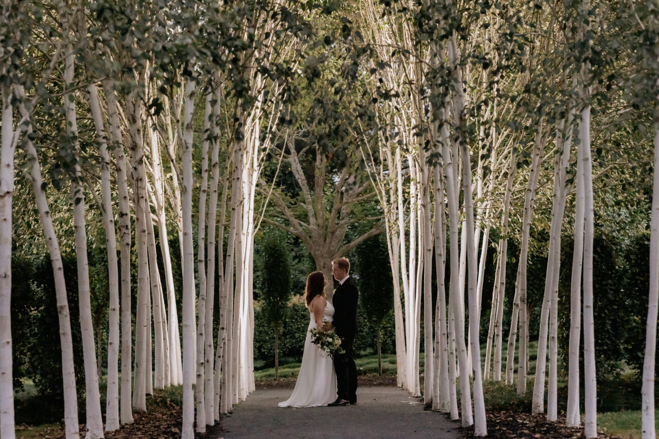Night photo at Tree Church garden wedding venue
