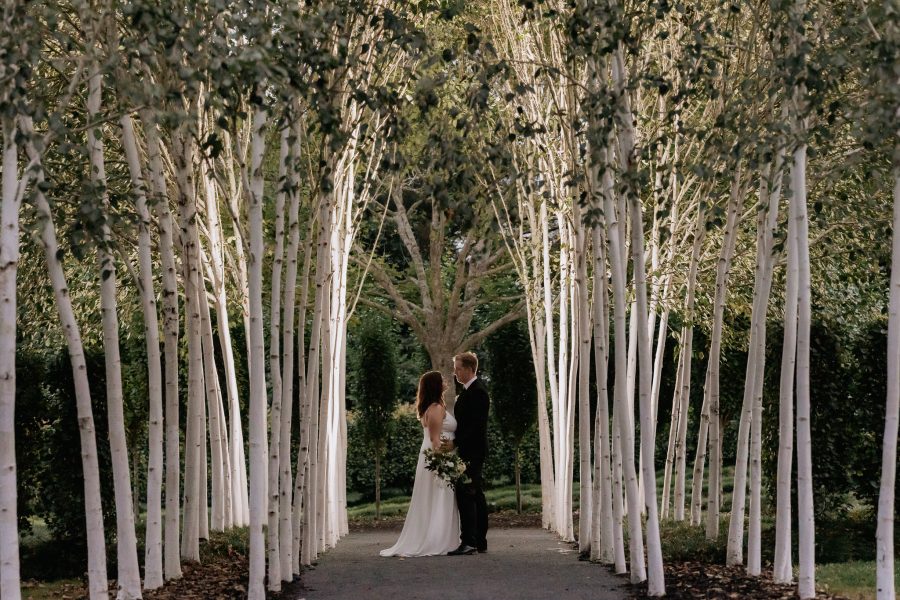 Night photo at Tree Church garden wedding venue