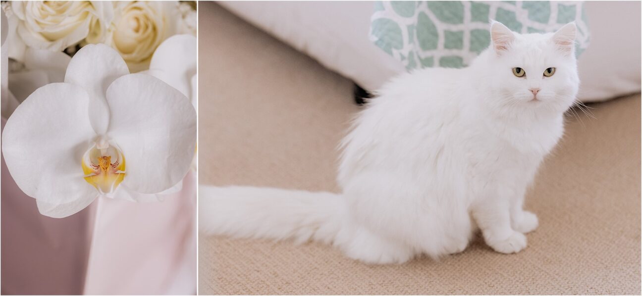 Bridal bouquet orchids and cat
