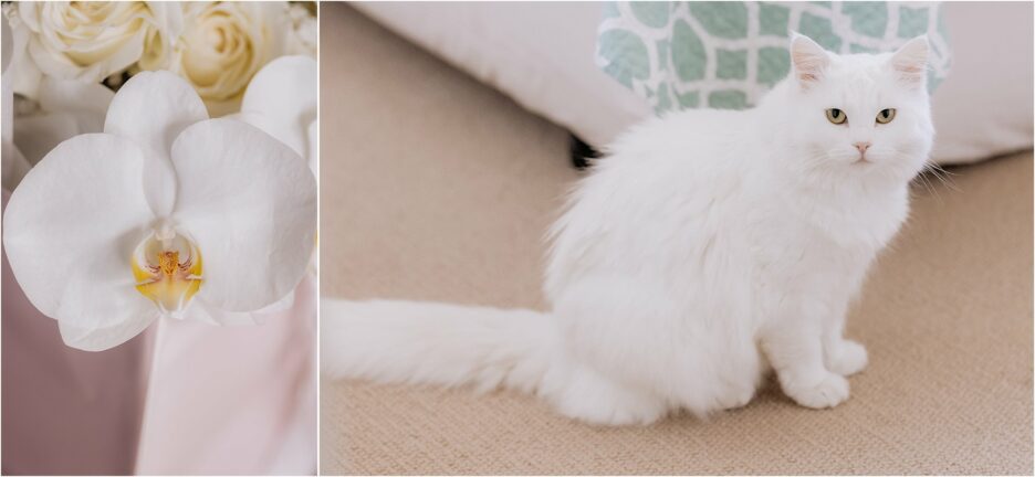 Bridal bouquet orchids and cat