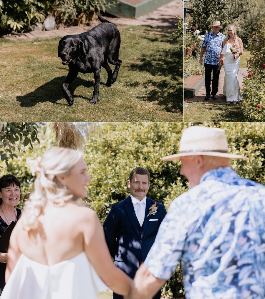 Walking down the aisle with father of the bride, dog walks down grass aisle