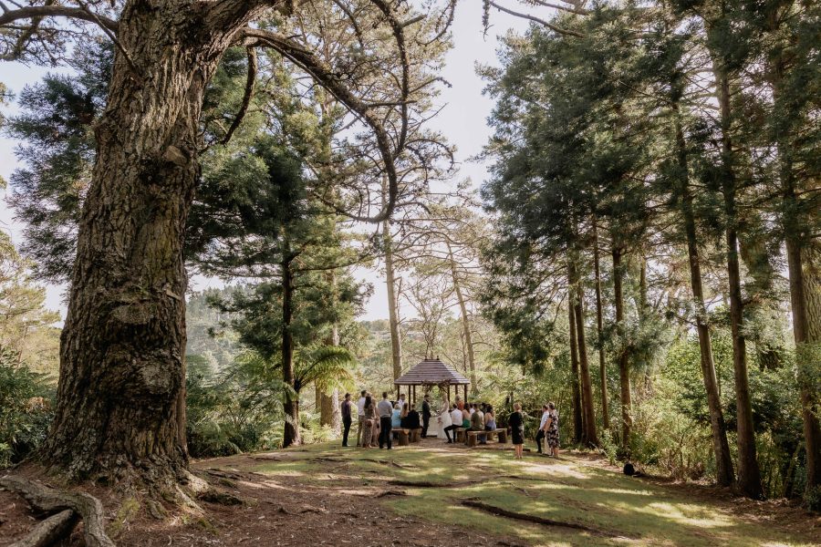 Wedding ceremony in progress at Falls Retreat Waihi