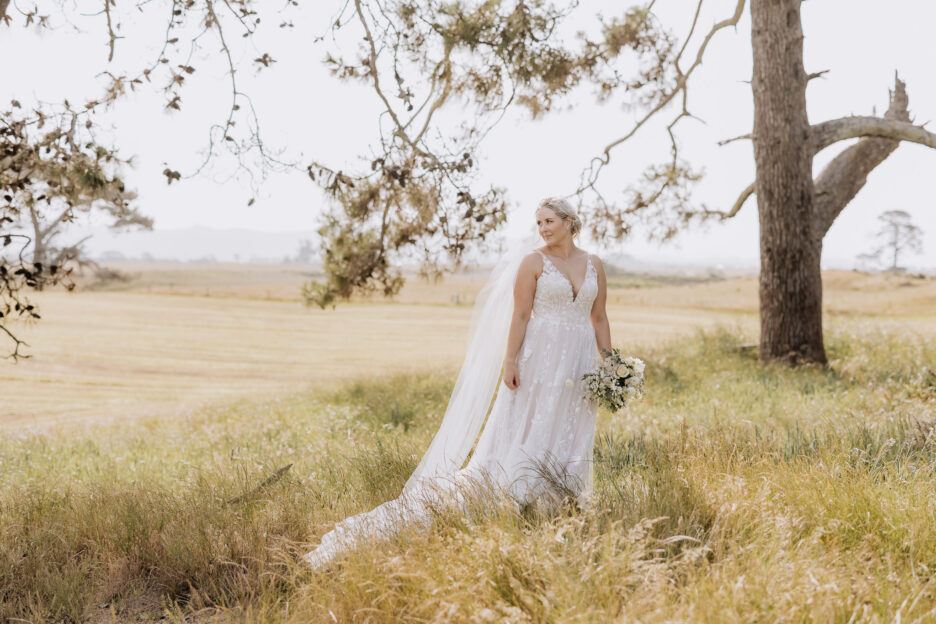 Bridal portraits under tree on hill at Te Tumu Estate Papamoa