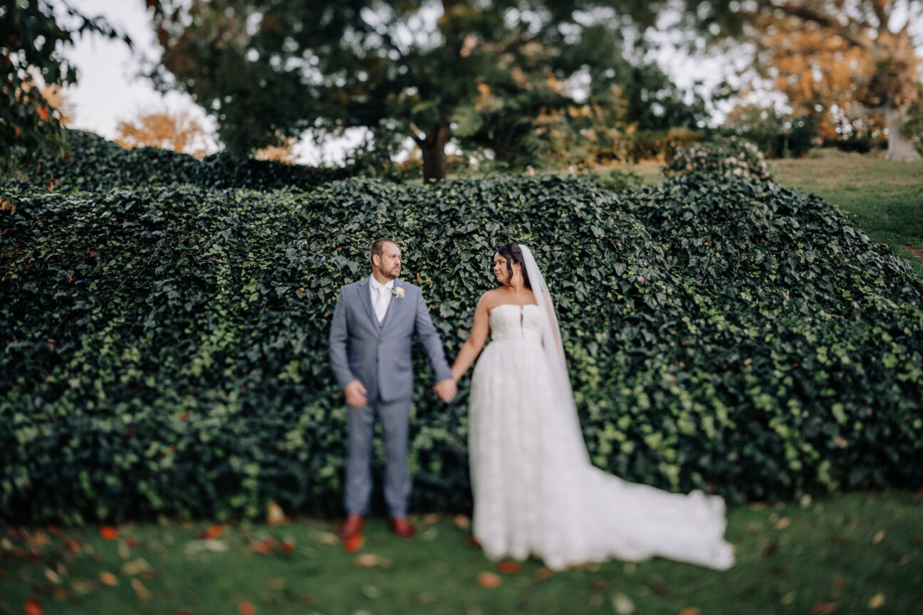 wedding couple photo taken infront of ivy wall at waterlily gardens venue