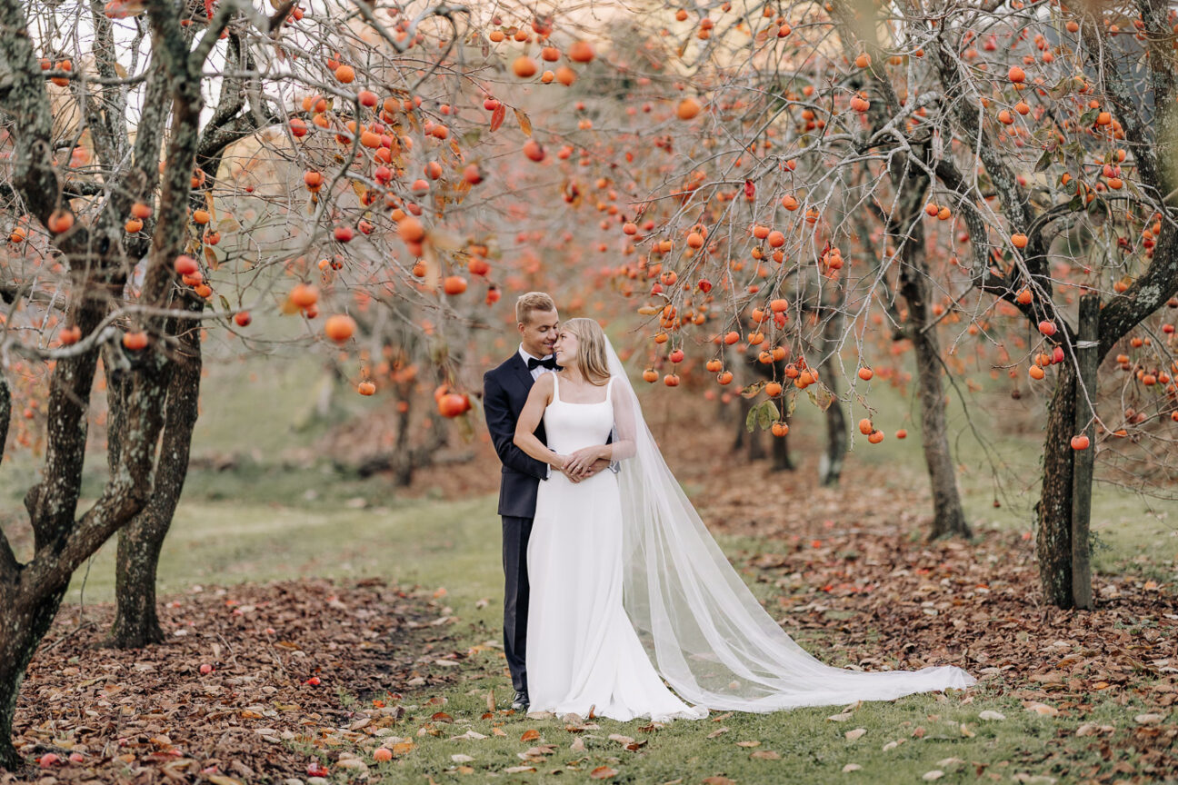 wedding photography tauranga images