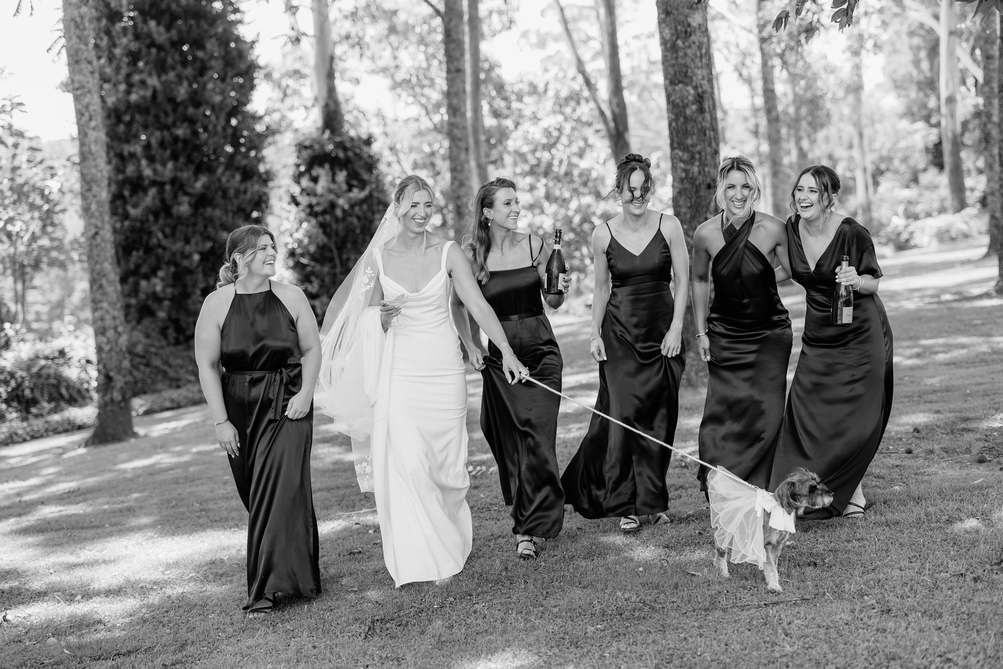 Bride walking with bridesmaids and dog on lead